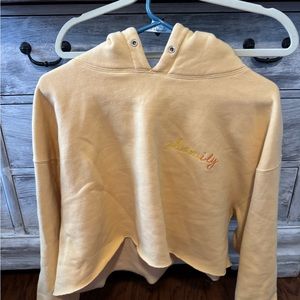 Haley Pham XL cropped hoodie